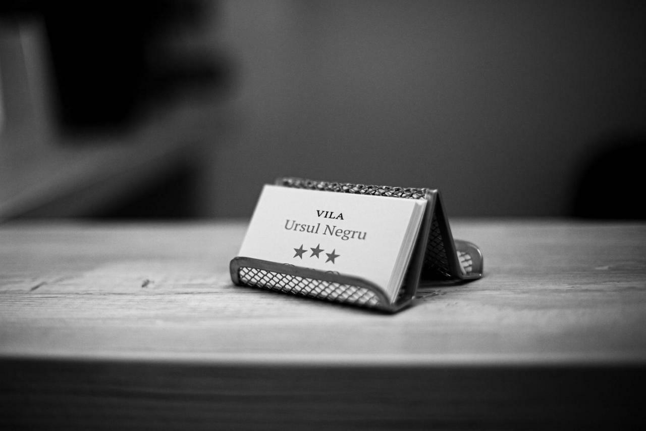 Vila Ursul Negru Sovata Eksteriør billede